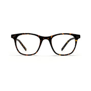 3 in 1 - Templeton Tortoise Shell