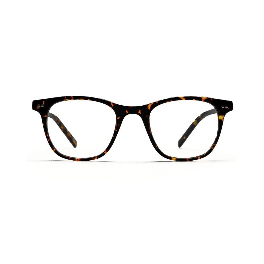 3 in 1 - Templeton Tortoise Shell